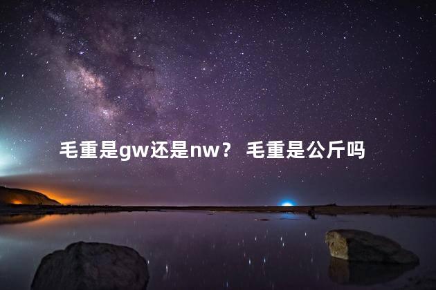 毛重是gw还是nw？ 毛重是公斤吗